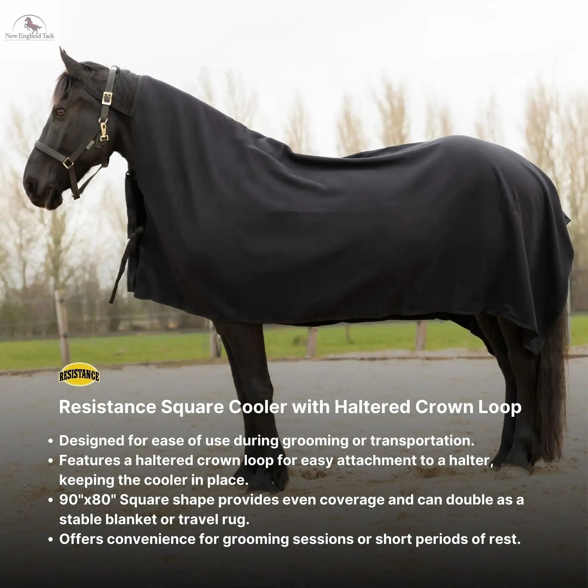 Resistance Long Lasting & Warm Soft Fleece Square Cooler for Horse